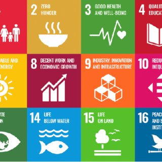 Sustainable Development Goals: Progress and Challenges
